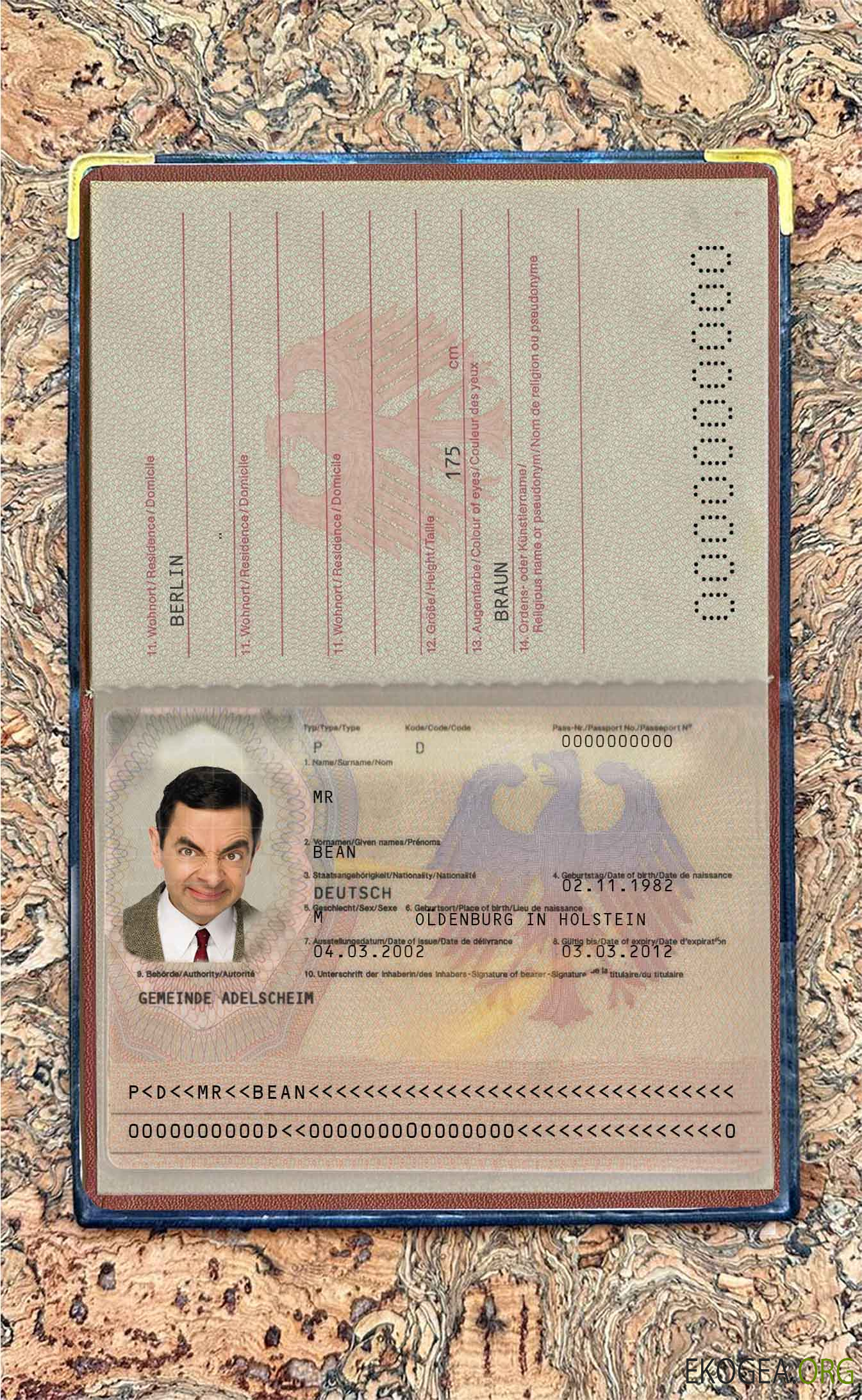 Aperçu photo du passeport allemand (2005 2017)